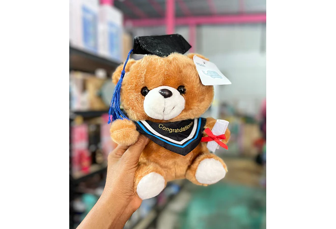 PELUCHE OSITO CON BIRRETE 🎓  MOD# B194 🧸