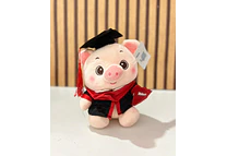 🐷 PELUCHE PUERQUITO CON BIRRETE 🎓  MOD# Z303