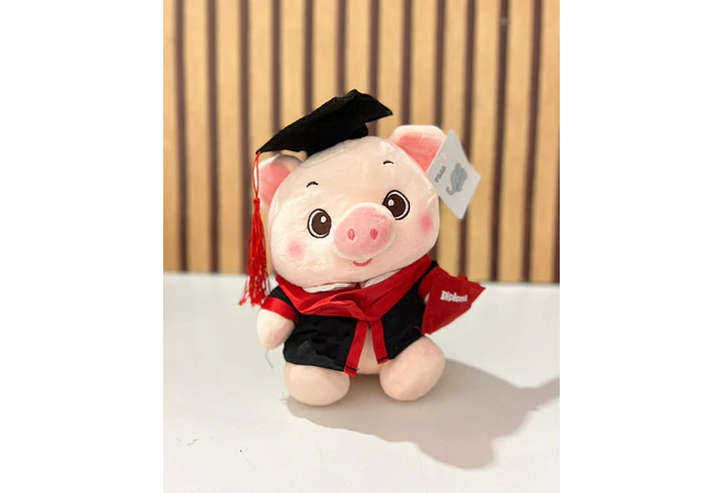 🐷 PELUCHE PUERQUITO CON BIRRETE 🎓  MOD# Z303