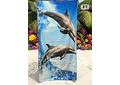 TOALLA PARA PLAYA VARIOS DISEÑOS MOD# T-30750🏝️🍹