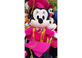 PELUCHE MIKY O MINIE GRADUACIÓN MOD# 10 🎓