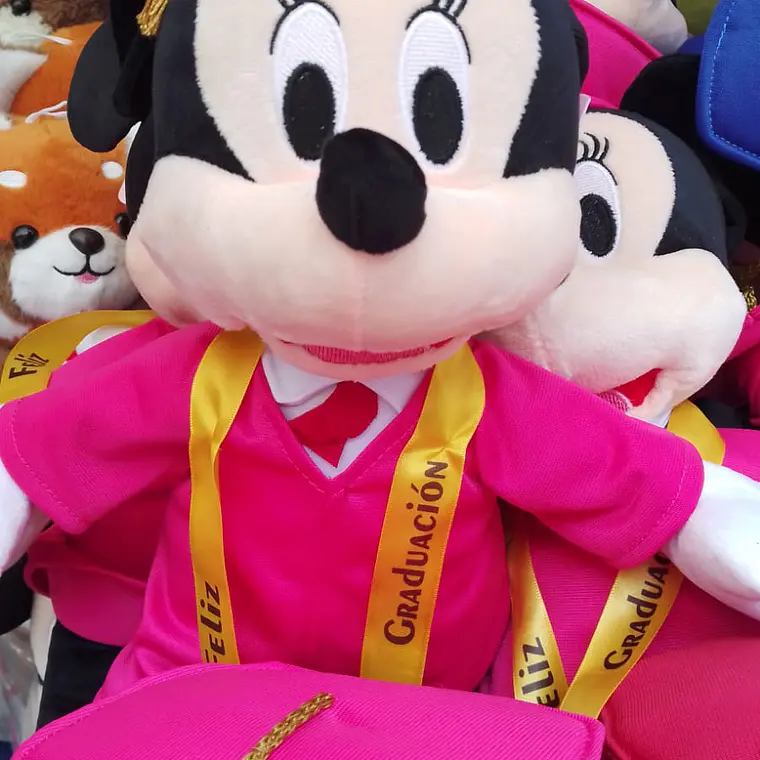 PELUCHE MIKY O MINIE GRADUACIÓN MOD# 10 🎓 5