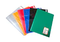 CARPETA CON 30 PROTECTORES DE HOJA ORGANIZADOR A4 MOD#SN-009-30J