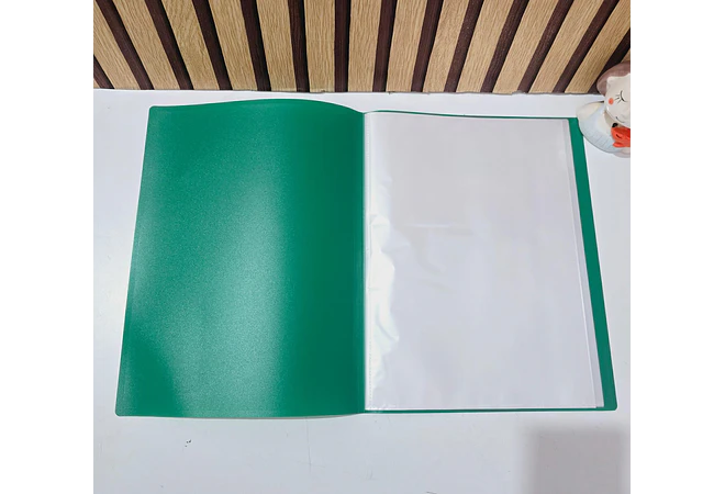 CARPETA CON 30 PROTECTORES DE HOJA ORGANIZADOR A4 MOD#SN-009-30J