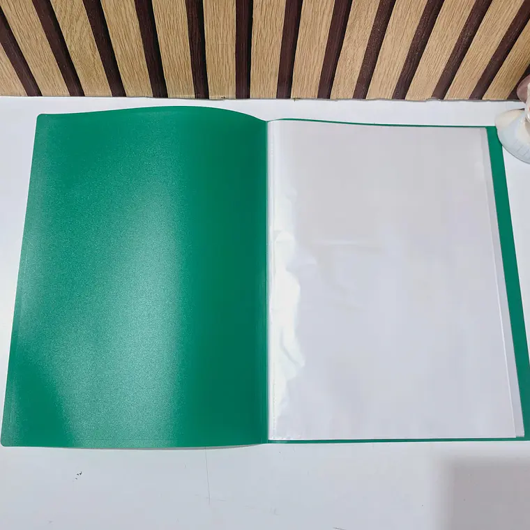 CARPETA CON 30 PROTECTORES DE HOJA ORGANIZADOR A4 MOD#SN-009-30J 2