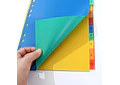 BOLSA CON 10 DIVISORES E INDICE PARA CARPETA MOD# SN-006J