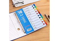 BOLSA CON 10 DIVISORES E INDICE PARA CARPETA MOD# SN-006J
