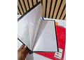 CARPETA CON 40 PROTECTORES DE HOJA ORGANIZADOR A4 MOD#SN-009-40J