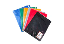 CARPETA CON 40 PROTECTORES DE HOJA ORGANIZADOR A4 MOD#SN-009-40J