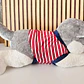 PELUCHE GRANDE HUSKY CON PLAYERA MOD# G018 - Miniatura 2
