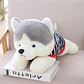 PELUCHE GRANDE HUSKY CON PLAYERA MOD# G018 - Miniatura 1