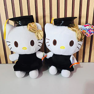 PELUCHE HELLO KITTY DISEÑO GRADUACIÓN 🎓🧸