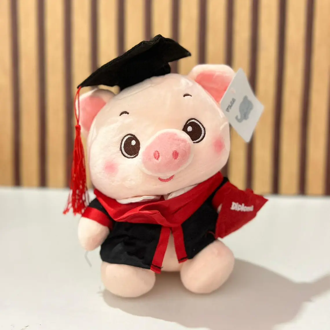 🐷 PELUCHE PUERQUITO CON BIRRETE 🎓  MOD# Z303 GRADUACION 1