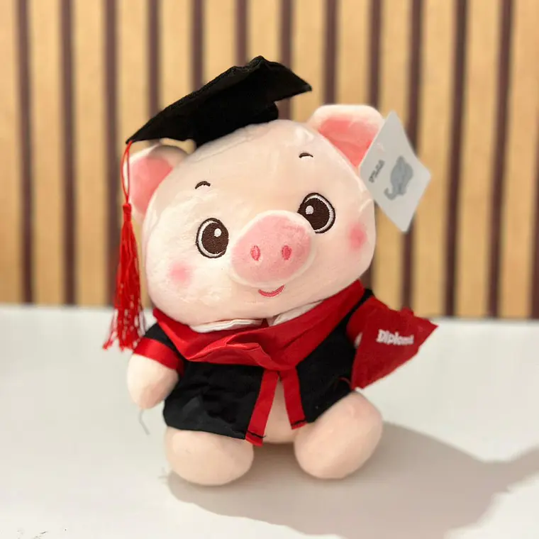 🐷 PELUCHE PUERQUITO CON BIRRETE 🎓  MOD# Z303 GRADUACION 1