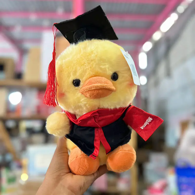 PELUCHE PATITO CON BIRRETE 🎓  MOD# Y040 GRADUACION 🐥 4
