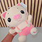 PELUCHES STITCH, WINNIE POOH O CERDITO MOD# WYK5-23, 32, 26 - Miniatura 10