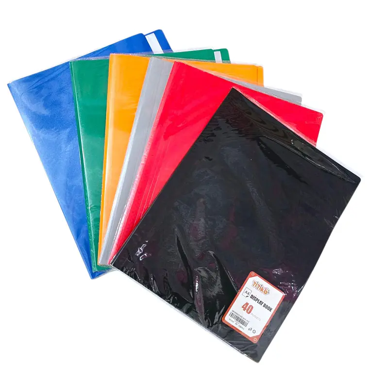 CARPETA CON 40 PROTECTORES DE HOJA ORGANIZADOR A4 MOD#SN-009-40J 1