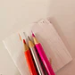 CAJITA CON 12 COLORES DE DOBLE PUNTA (YALONG) MOD# YL191040-24 - Miniatura 3