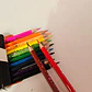 CAJITA CON 12 COLORES DISEÑO TROPICAL MOD# YL231048-12 🦩 - Miniatura 3
