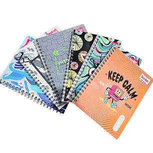 (RAYAS) LIBRETA CON 100 HOJAS PROFESIONAL 
