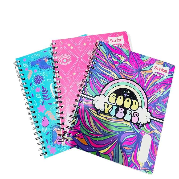 (RAYAS) LIBRETA CON 100 HOJAS PROFESIONAL 