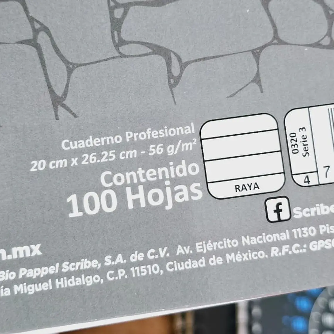 (RAYAS) LIBRETA CON 100 HOJAS PROFESIONAL 