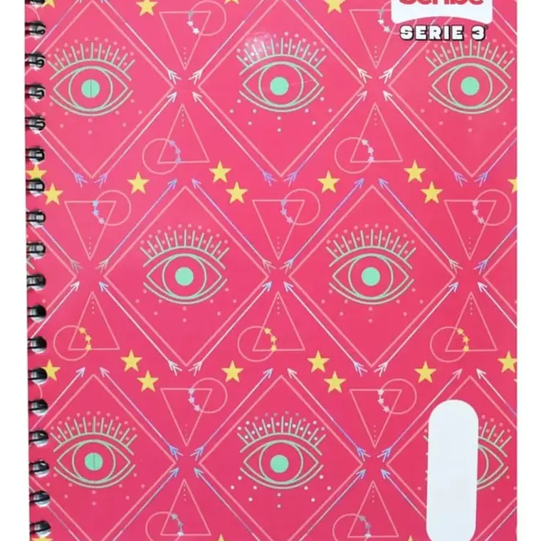(RAYAS) LIBRETA CON 100 HOJAS PROFESIONAL 