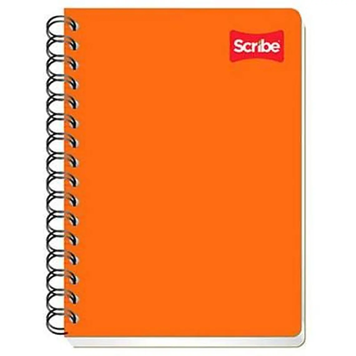 (RAYAS) LIBRETA PROFESIONAL SCRIBE CON 100 HOJAS COLORES LISOS MOD# 2900 2