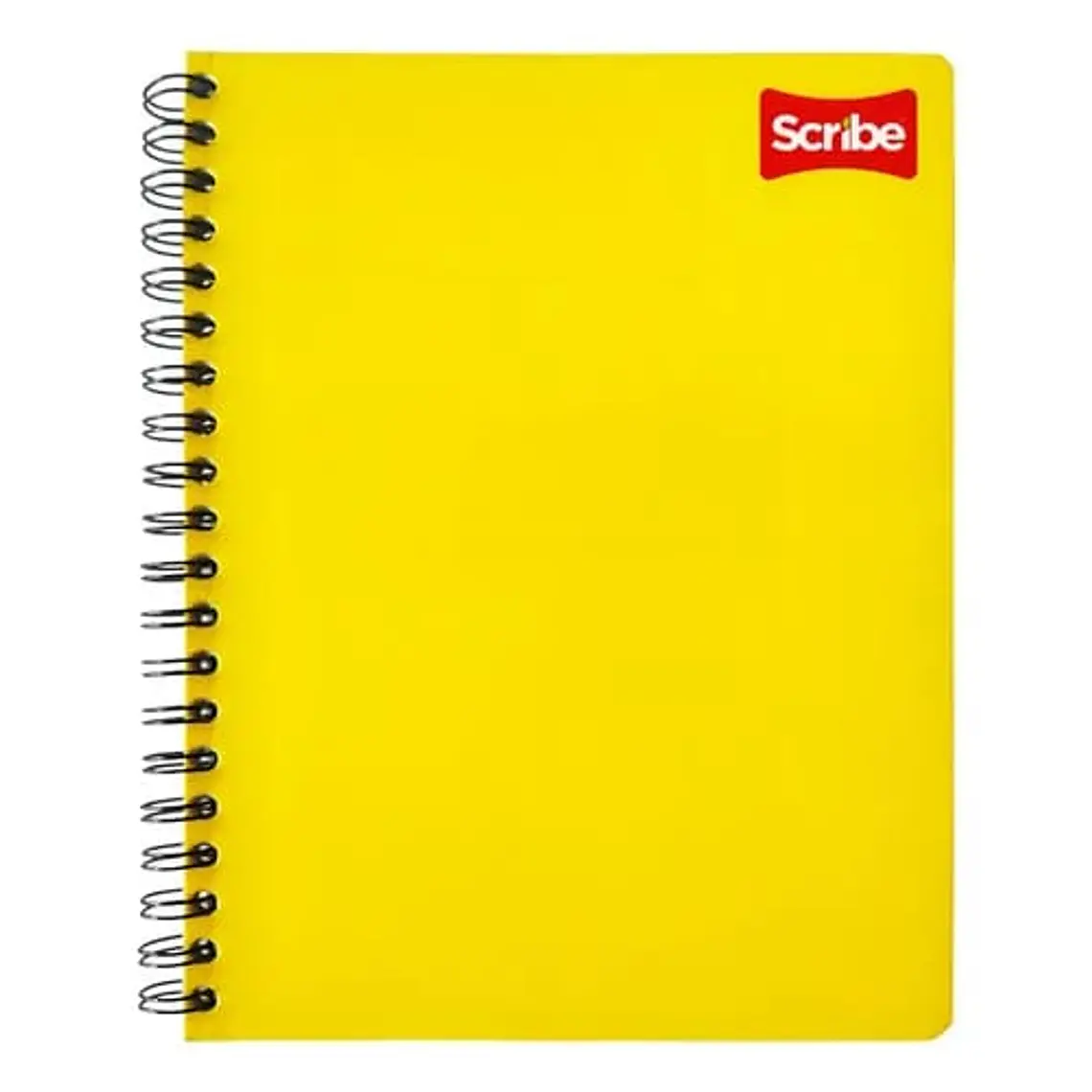 (RAYAS) LIBRETA PROFESIONAL SCRIBE CON 100 HOJAS COLORES LISOS MOD# 2900 4