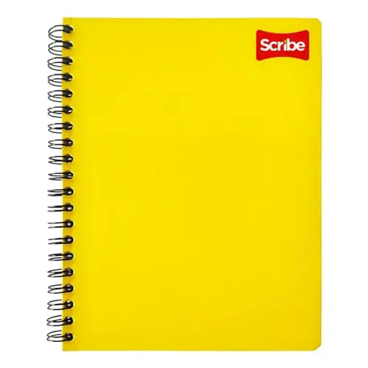 (RAYAS) LIBRETA PROFESIONAL SCRIBE CON 100 HOJAS COLORES LISOS MOD# 2900 4