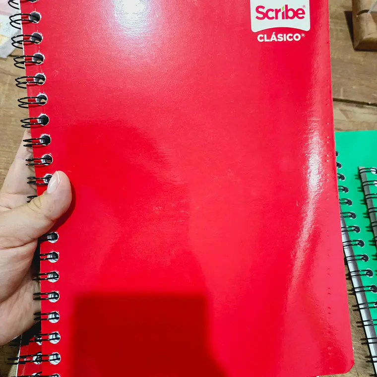 (RAYAS) LIBRETA PROFESIONAL SCRIBE CON 100 HOJAS COLORES LISOS MOD# 2900 5