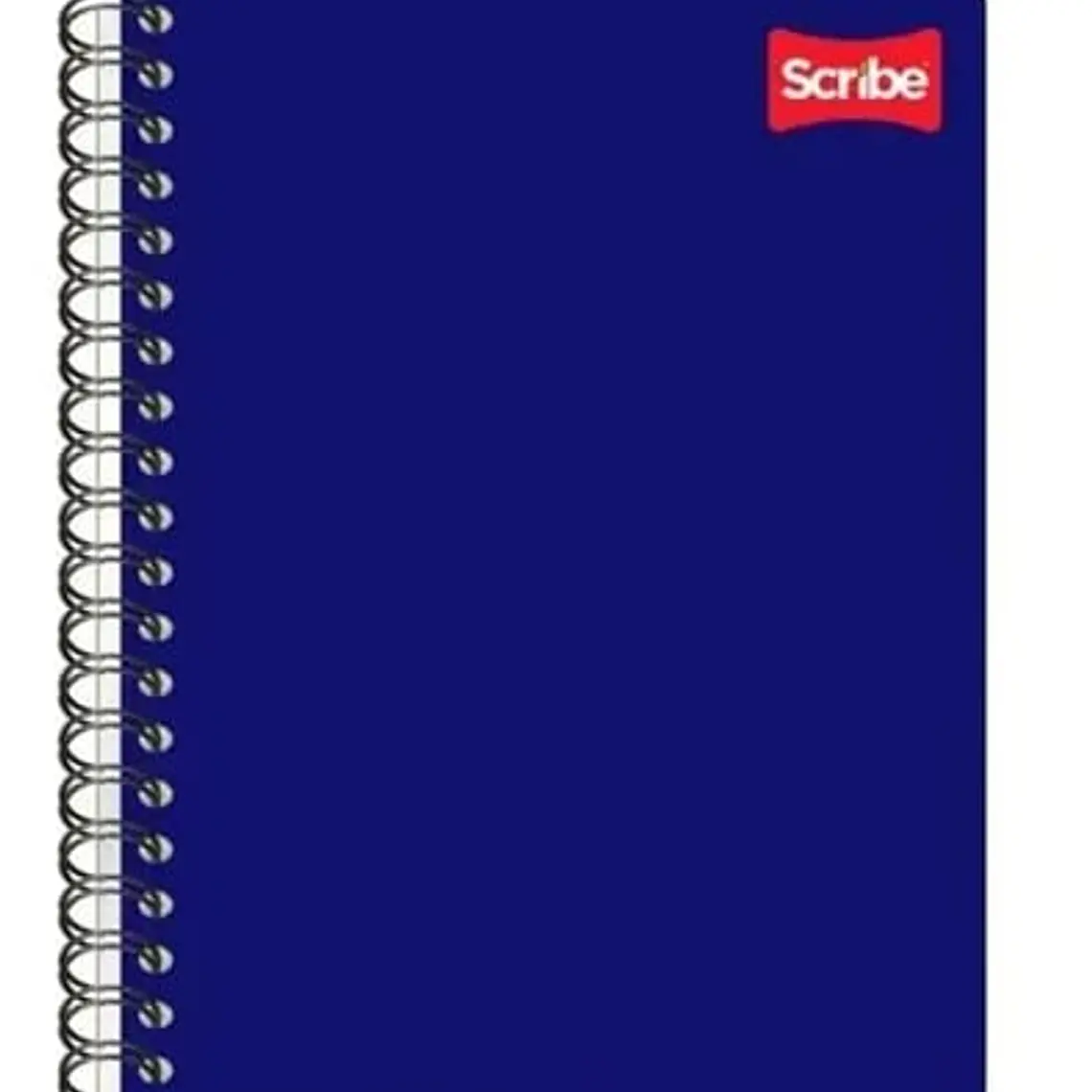 (RAYAS) LIBRETA PROFESIONAL SCRIBE CON 100 HOJAS COLORES LISOS MOD# 2900 7