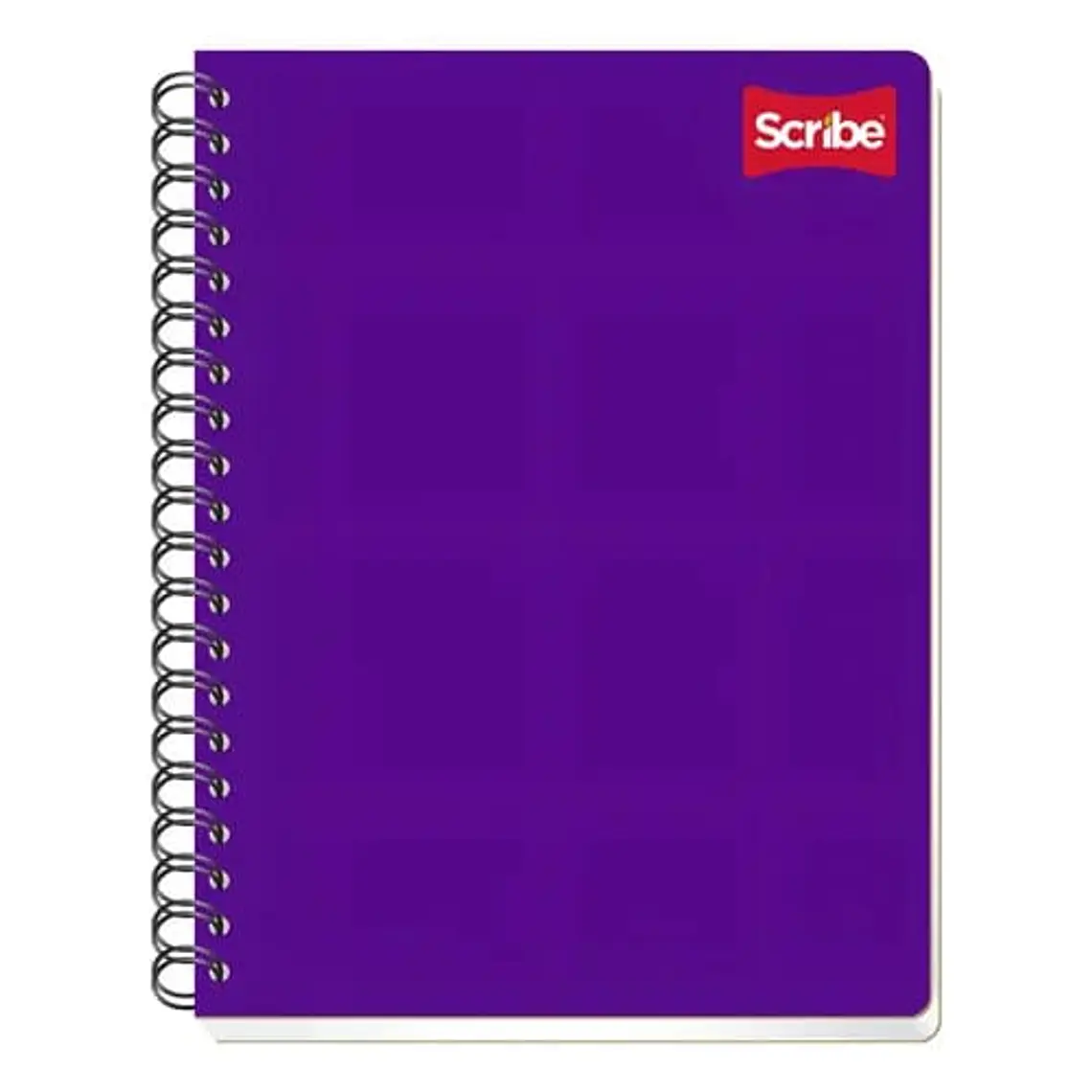 (RAYAS) LIBRETA PROFESIONAL SCRIBE CON 100 HOJAS COLORES LISOS MOD# 2900 8