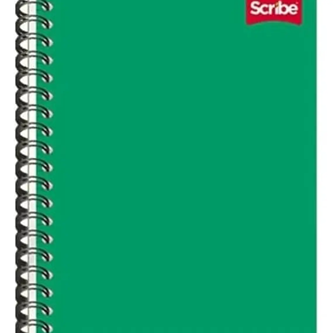(RAYAS) LIBRETA PROFESIONAL SCRIBE CON 100 HOJAS COLORES LISOS MOD# 2900 9