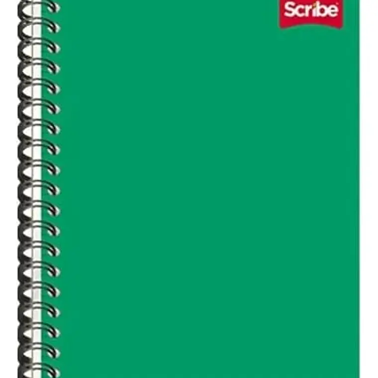 (RAYAS) LIBRETA PROFESIONAL SCRIBE CON 100 HOJAS COLORES LISOS MOD# 2900 9