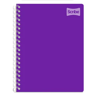 (RAYAS) LIBRETA PROFESIONAL CON 100 HOJAS COLORES LISOS MOD# 2050