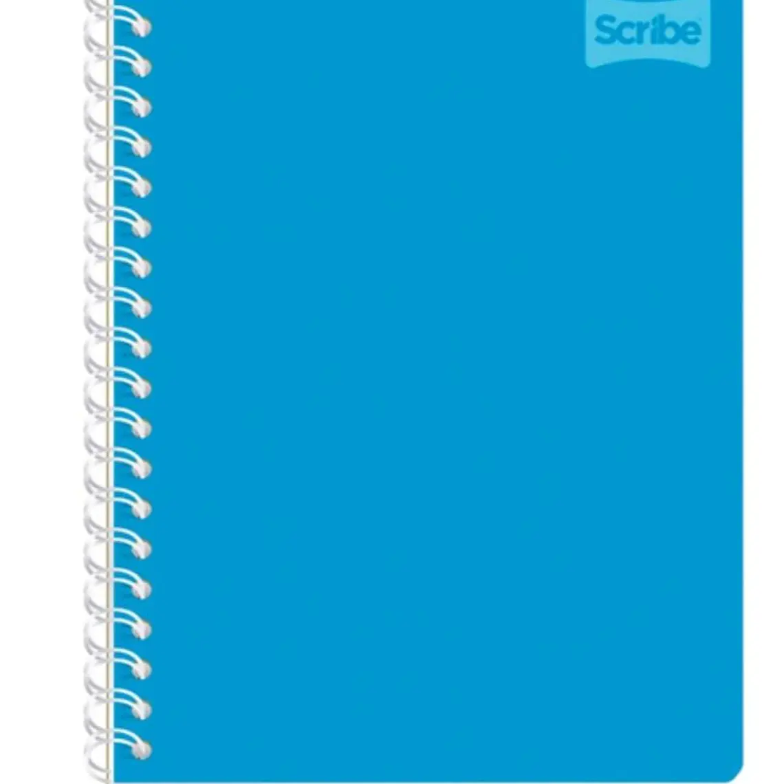 (RAYAS) LIBRETA PROFESIONAL CON 100 HOJAS COLORES LISOS MOD# 2050 3
