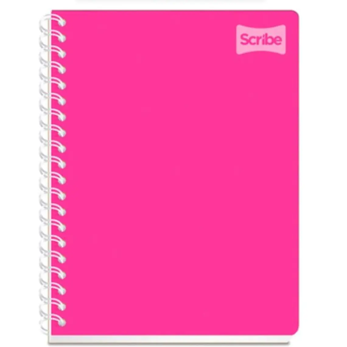 (RAYAS) LIBRETA PROFESIONAL CON 100 HOJAS COLORES LISOS MOD# 2050 4