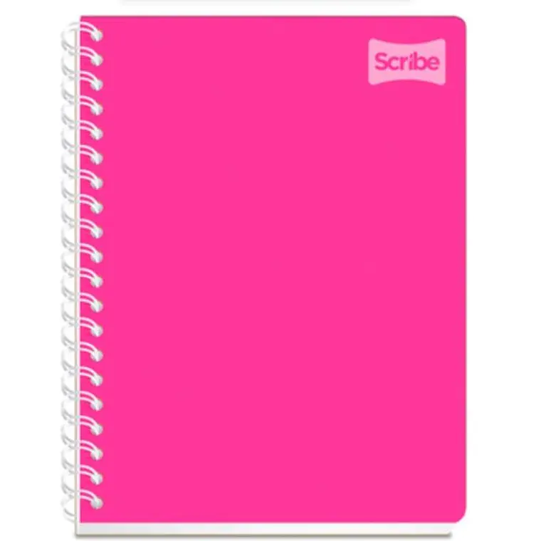 (RAYAS) LIBRETA PROFESIONAL CON 100 HOJAS COLORES LISOS MOD# 2050 4
