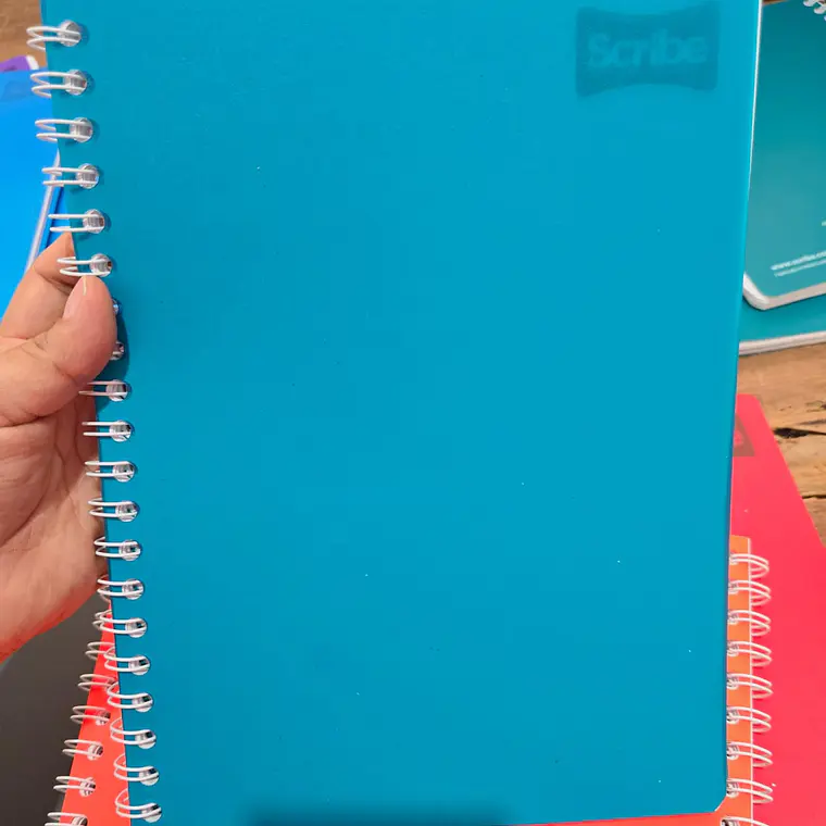 (RAYAS) LIBRETA PROFESIONAL CON 100 HOJAS COLORES LISOS MOD# 2050 6