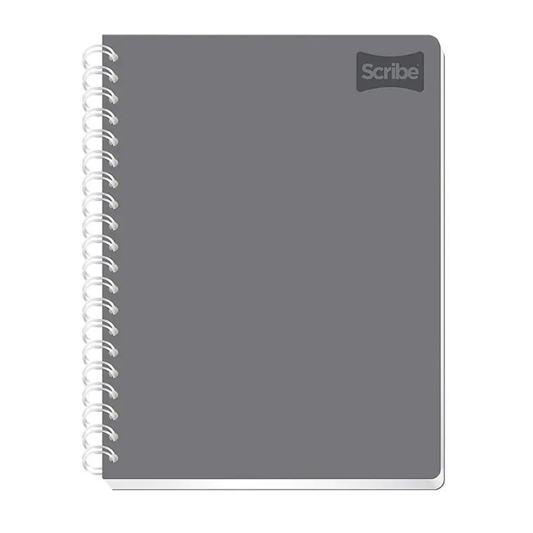 (RAYAS) LIBRETA PROFESIONAL CON 100 HOJAS COLORES LISOS MOD# 2050 9