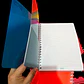 (RAYAS) LIBRETA PROFESIONAL CON 100 HOJAS COLORES LISOS MOD# 2050 - Miniatura 10