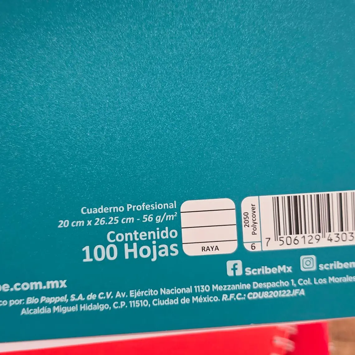 (RAYAS) LIBRETA PROFESIONAL CON 100 HOJAS COLORES LISOS MOD# 2050 11