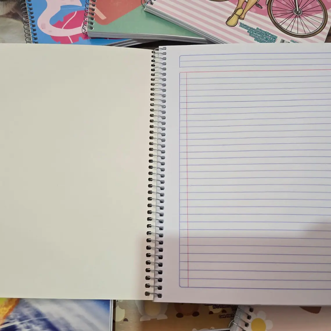 (RAYAS) LIBRETA PROFESIONAL SWING CON 100 HOJAS MOD# 08270 4