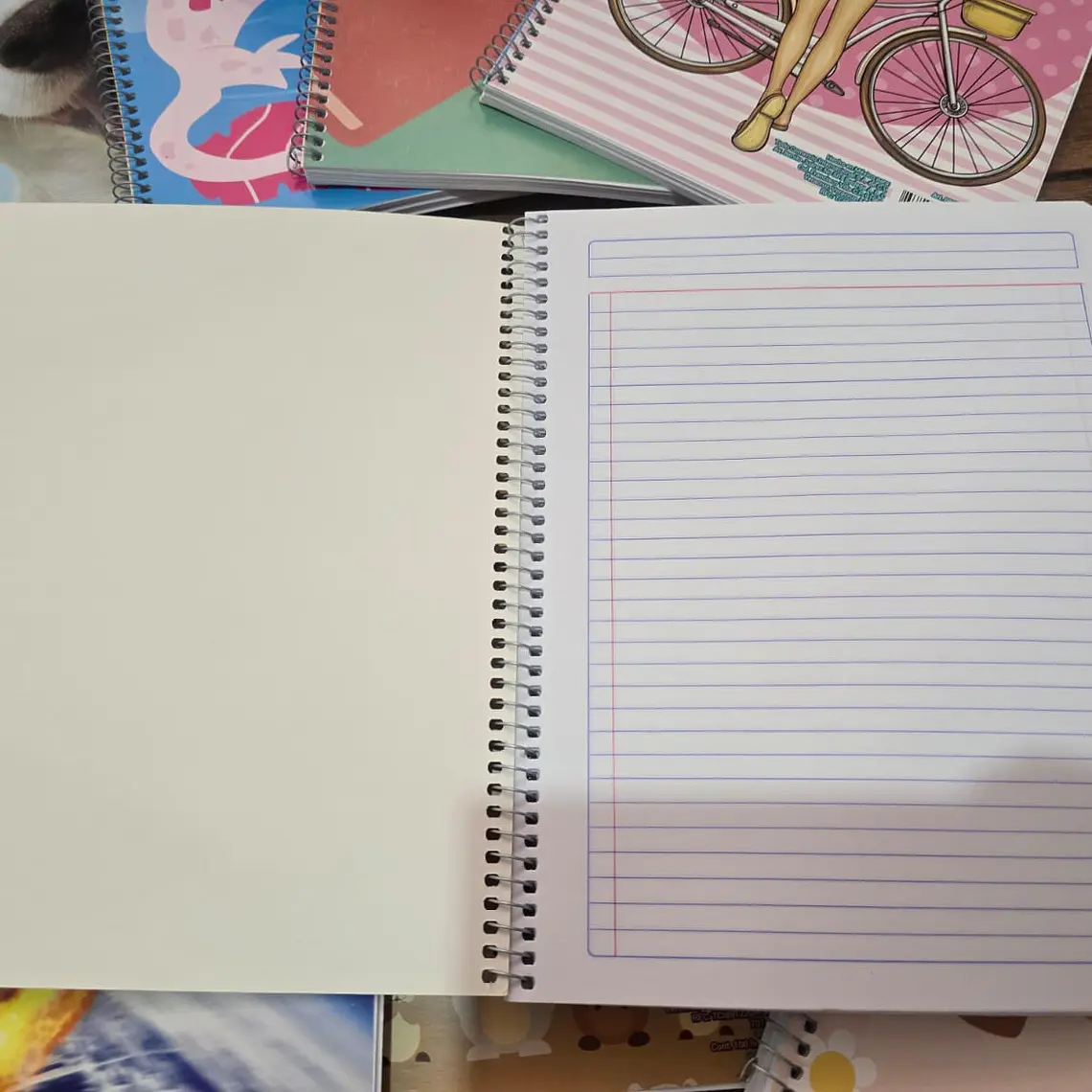 (RAYAS) LIBRETA PROFESIONAL SWING MIX CON 100 HOJAS MOD# 08085 5