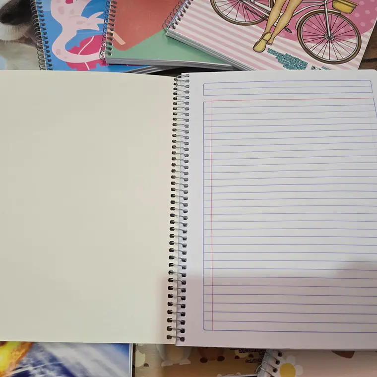 (RAYAS) LIBRETA PROFESIONAL SWING MIX CON 100 HOJAS MOD# 08085 5