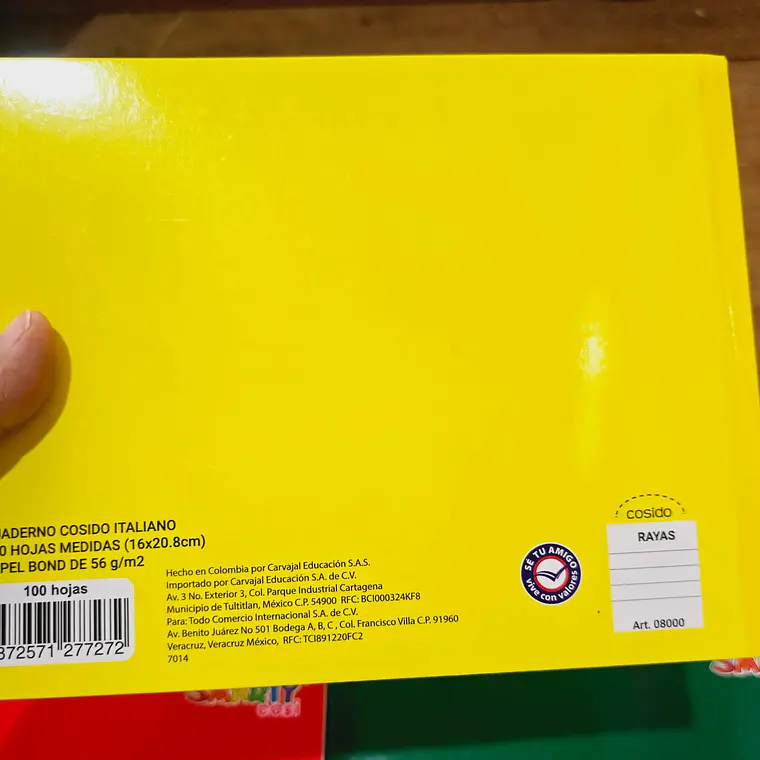(RAYAS) CUADERNO ITALIANO PROFESIONAL 