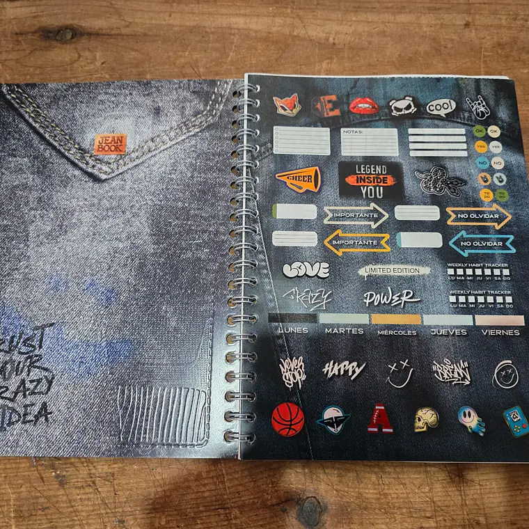 (RAYAS) LIBRETA PROFESIONAL CON 100 HOJAS 