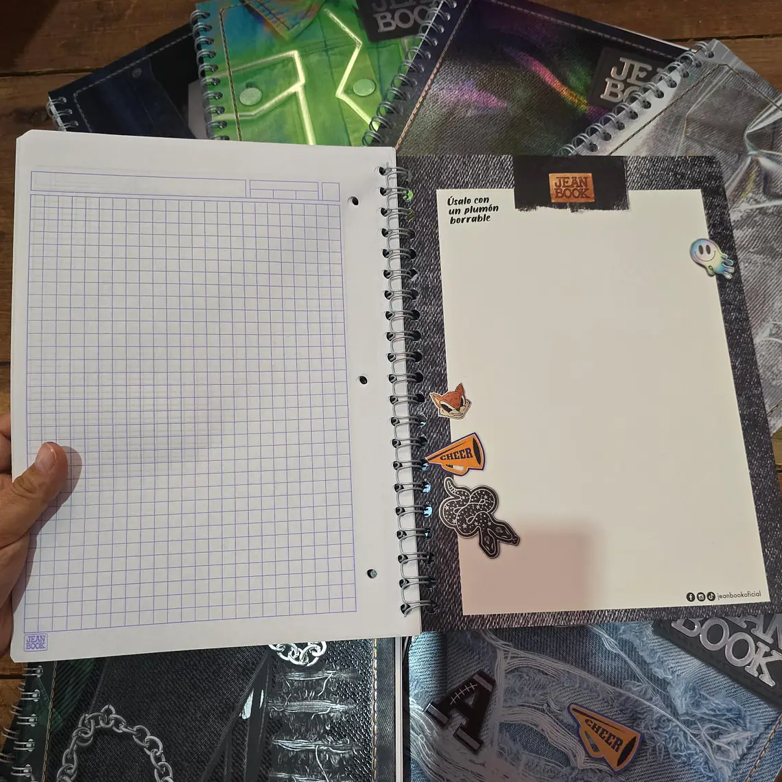 (CUADRO #7) LIBRETA PROFESIONAL 
