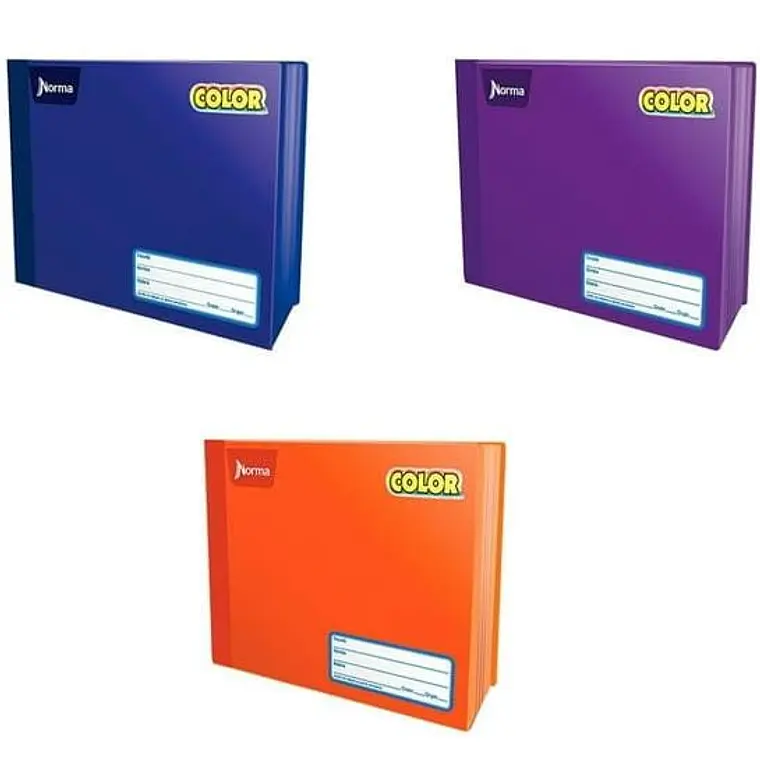 (RAYAS) CUADERNO  ITALIANO PROFESIONAL NORMA CON 100 HOJAS MOD# 812956 4